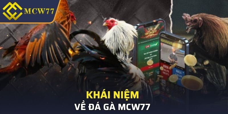 Khái niệm về đá gà MCW77