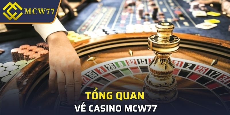 Tổng quan về Casino MCW77